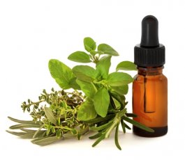 Notre rayon regorge de trésors issus de la nature!